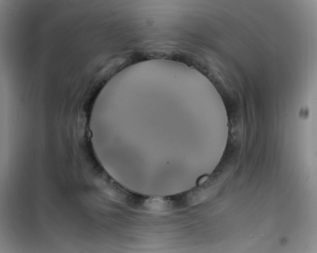 X0000100950231200807221128