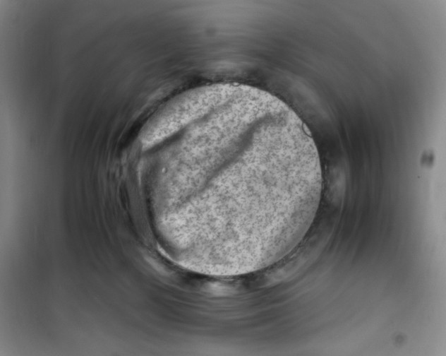 X0000100950232200807221128