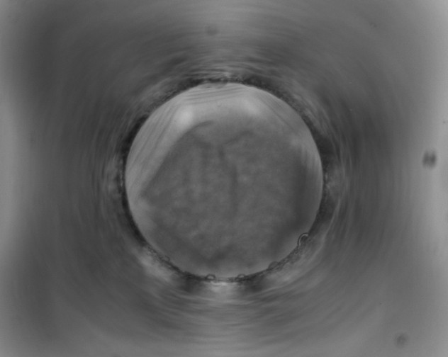 X0000100950233200807221128