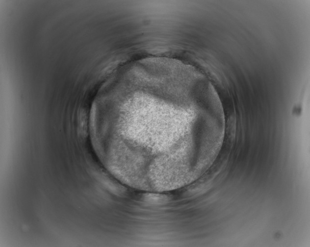 X0000100950234200807221128