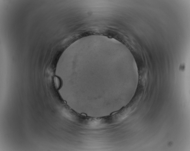 X0000100950235200807221128