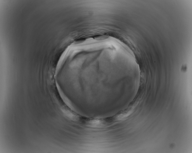 X0000100950237200807221128