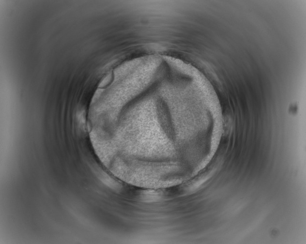 X0000100950238200807221128