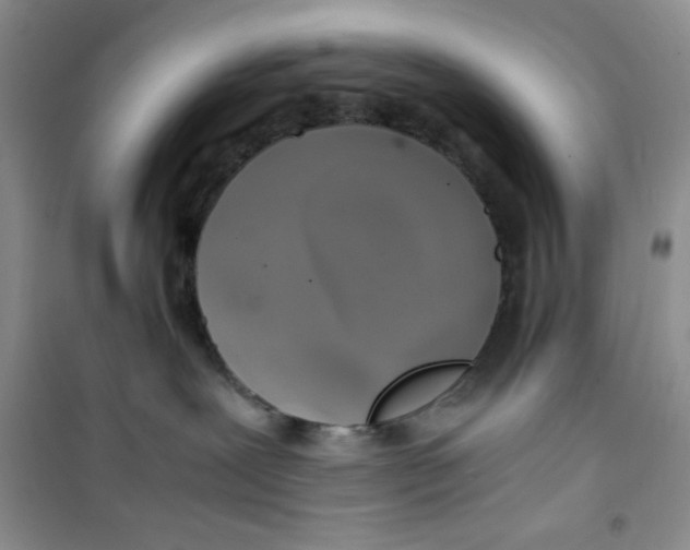 X0000100950239200807221128