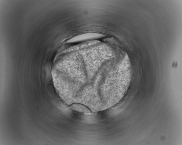 X0000100950240200807221128