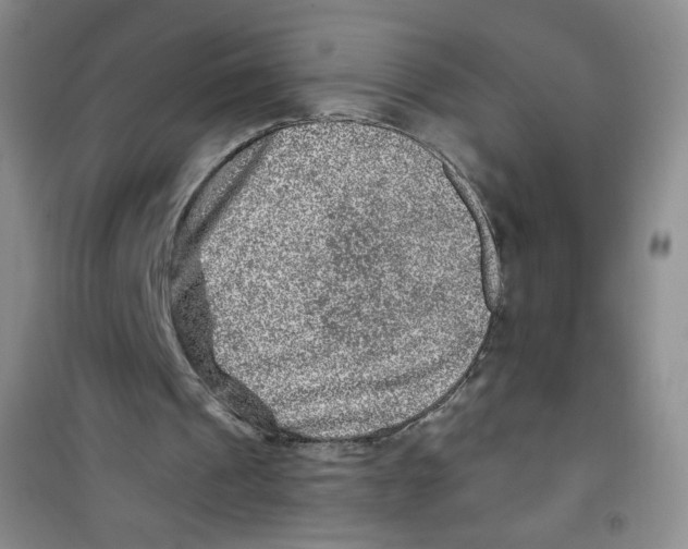 X0000100950241200807221128