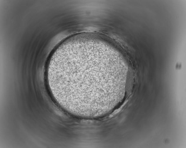 X0000100950242200807221128