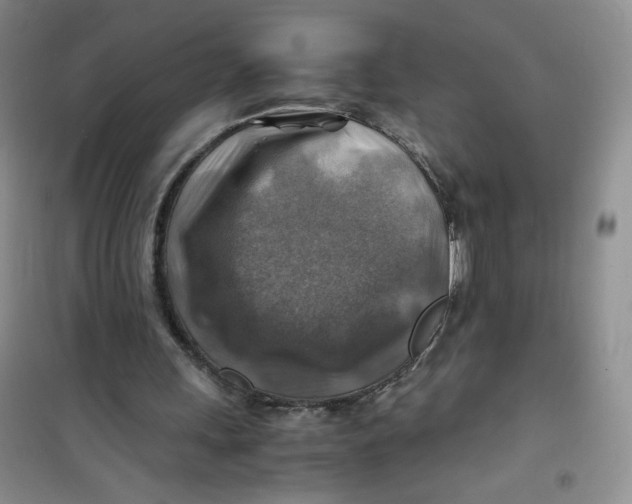 X0000100950243200807221128