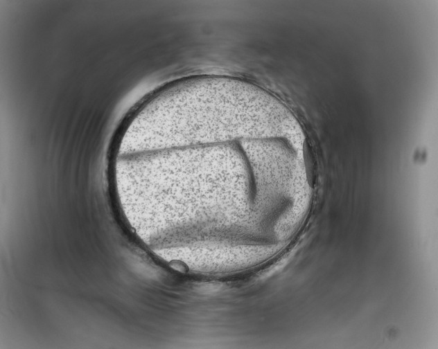 X0000100950246200807221128