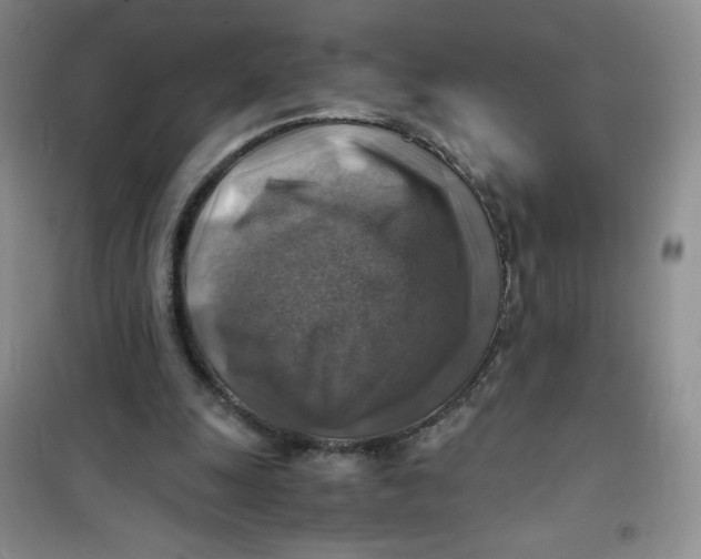 X0000100950247200807221128