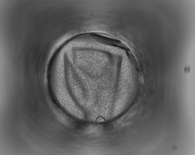 X0000100950248200807221128