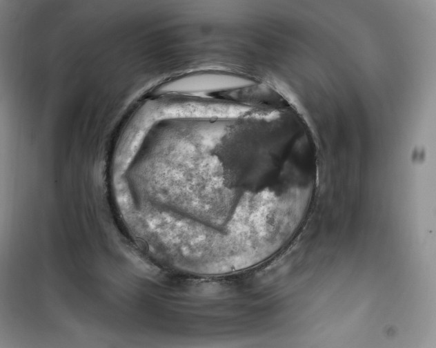 X0000100950249200807221128