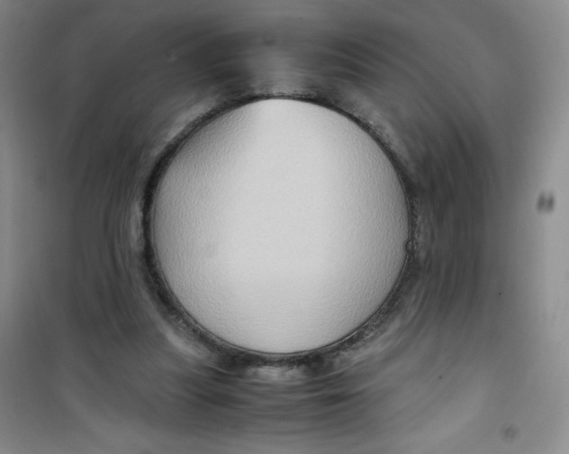 X0000100950251200807221128