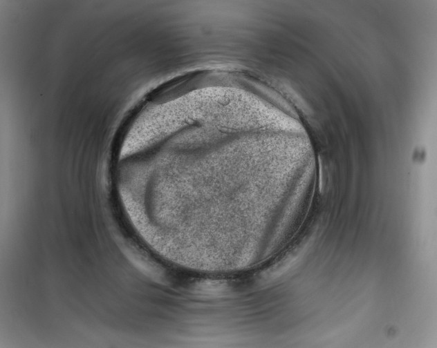 X0000100950252200807221128