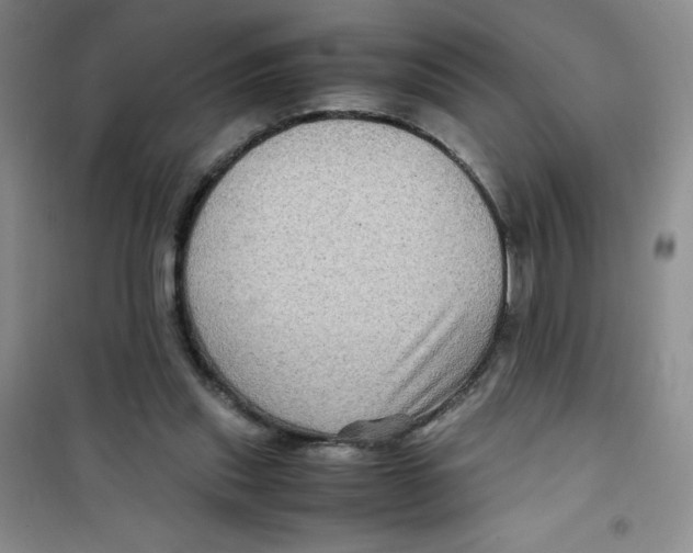 X0000100950253200807221128