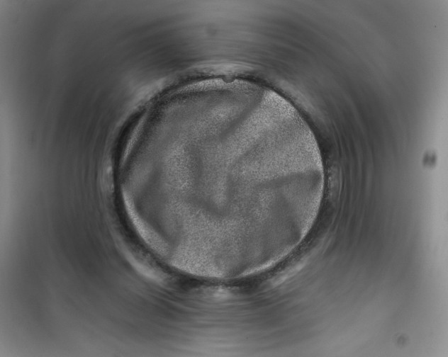 X0000100950254200807221128