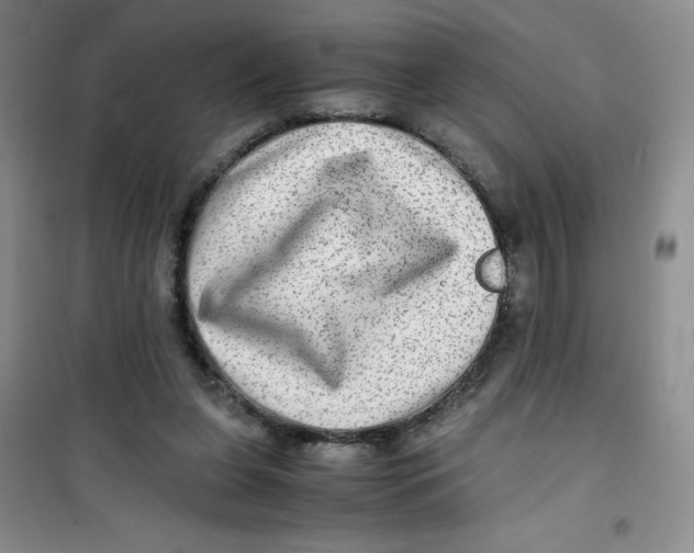 X0000100950255200807221128