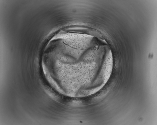 X0000100950256200807221128