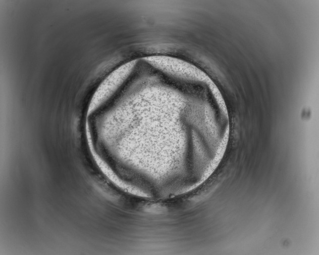 X0000100950258200807221128