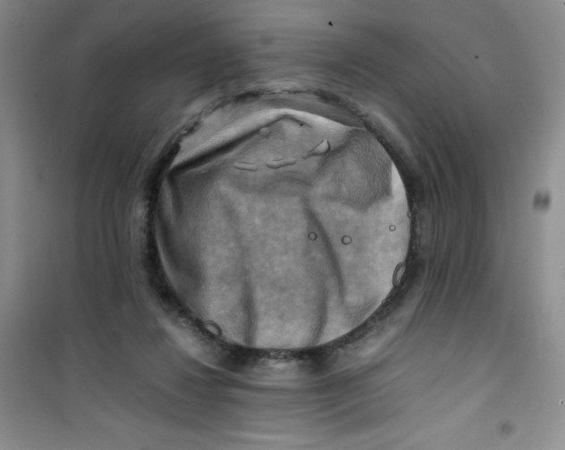 X0000100950260200807221128