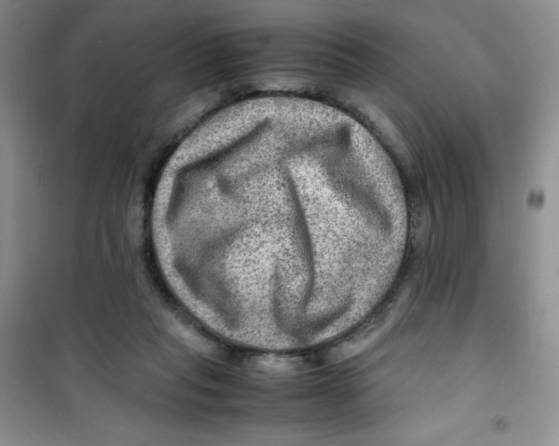 X0000100950261200807221128