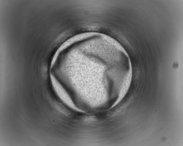 X0000100950262200807221128