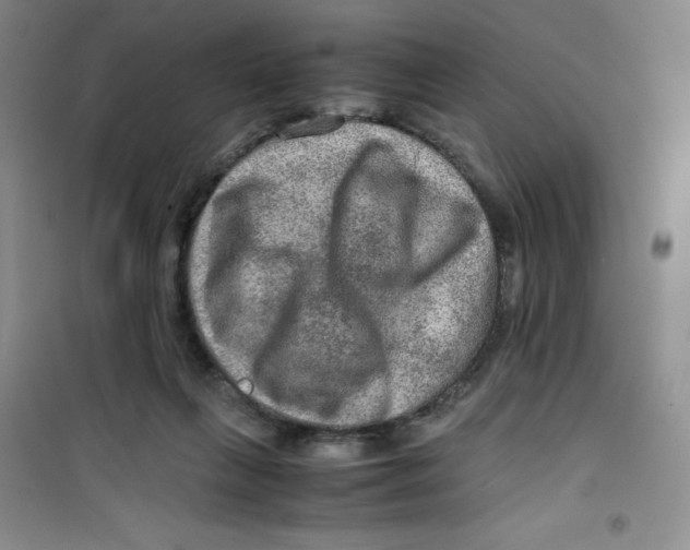 X0000100950263200807221128