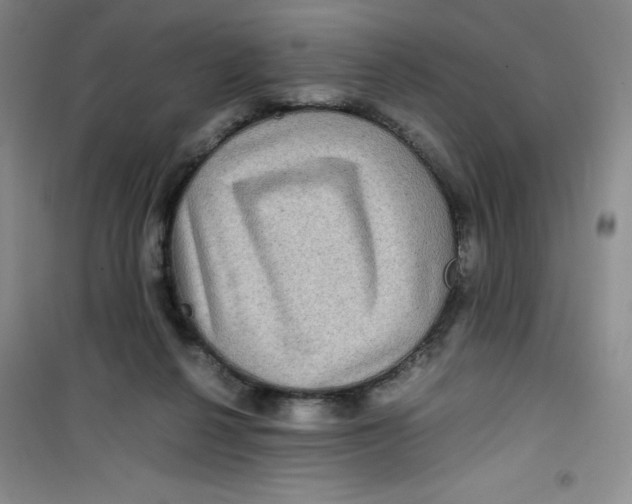 X0000100950264200807221128