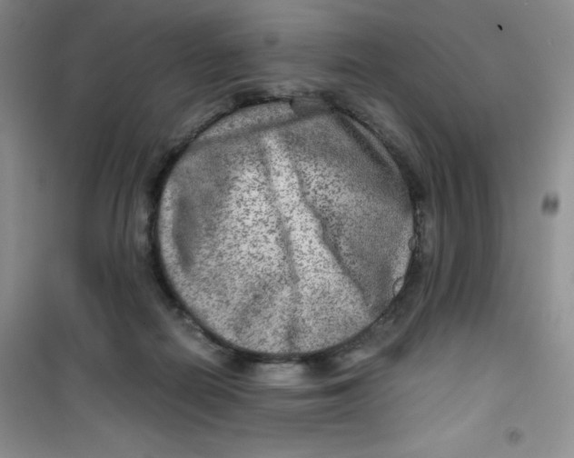 X0000100950266200807221128