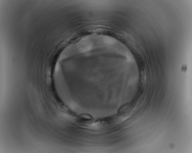 X0000100950267200807221128