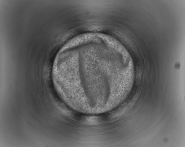 X0000100950268200807221128