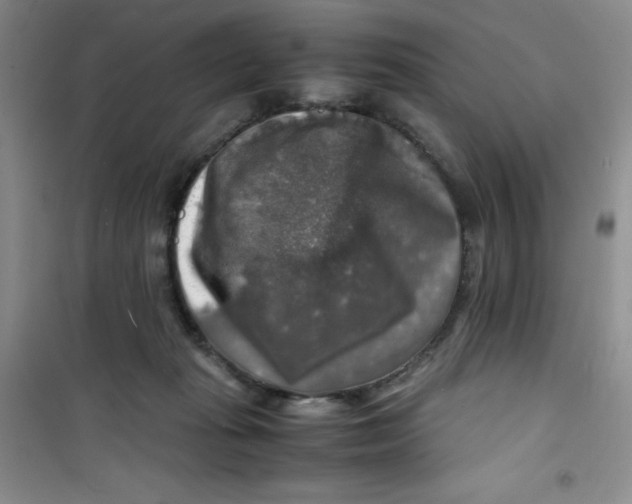 X0000100950269200807221128