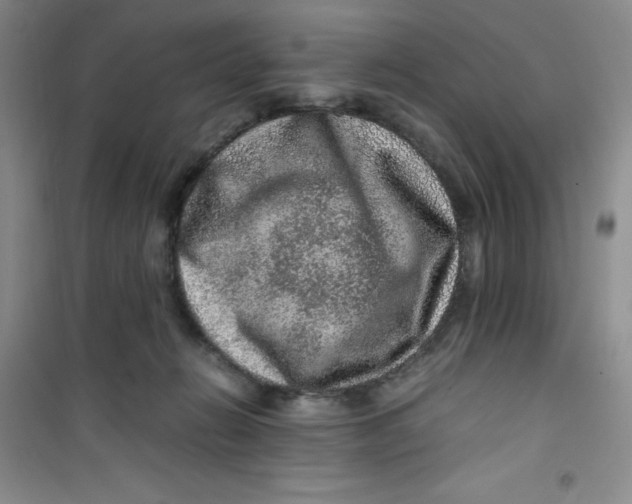 X0000100950270200807221128