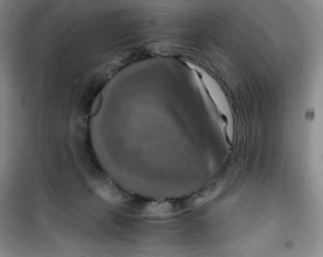 X0000100950271200807221128