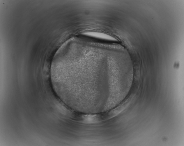 X0000100950273200807221128