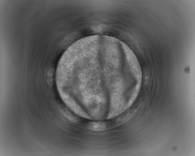 X0000100950275200807221128