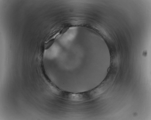 X0000100950277200807221128