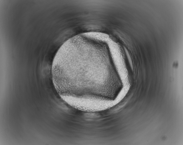 X0000100950281200807221128