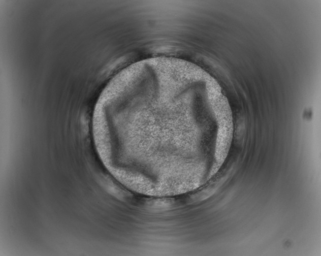 X0000100950282200807221128