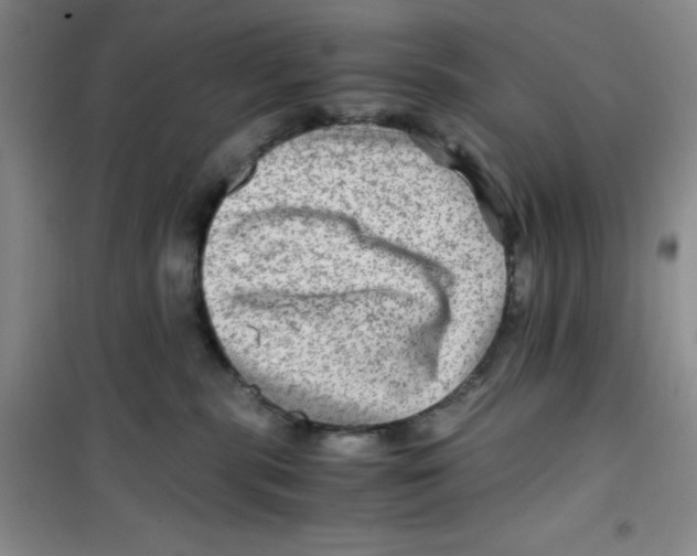 X0000100950283200807221128