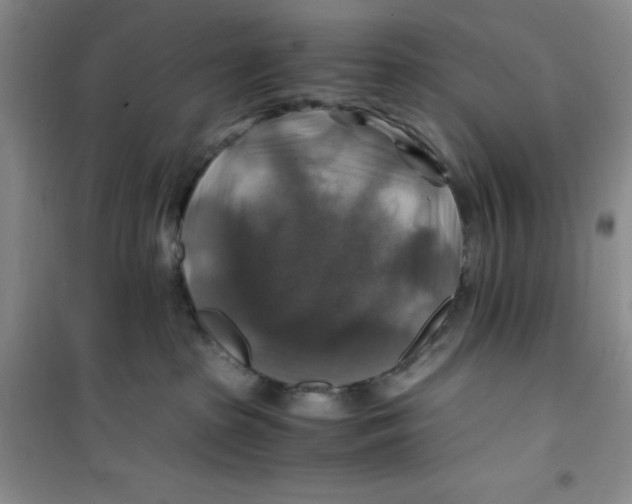 X0000100950285200807221128