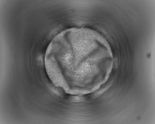 X0000100950286200807221128