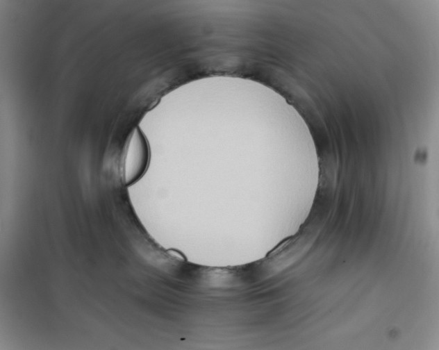 X0000100950287200807221128