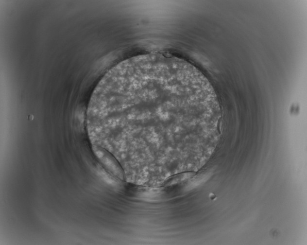 X0000100950288200807221128