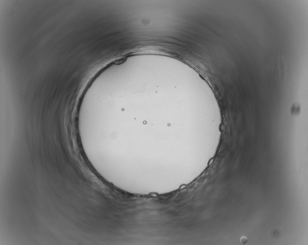 X0000100950289200807221128