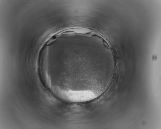 X0000100950290200807221128