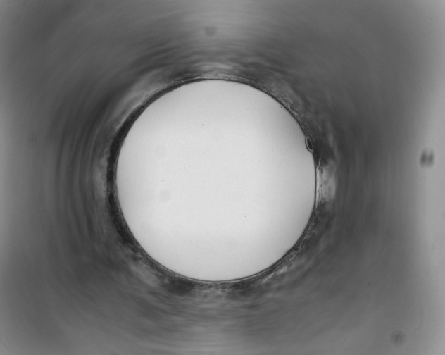 X0000100950291200807221127