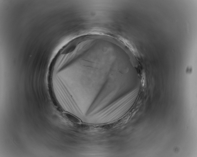 X0000100950292200807221127