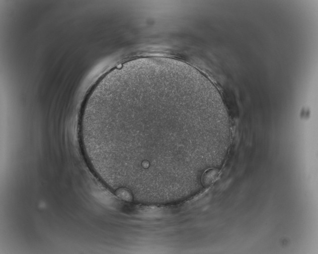 X0000100950293200807221127