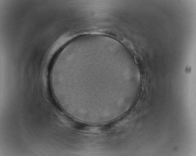 X0000100950295200807221127